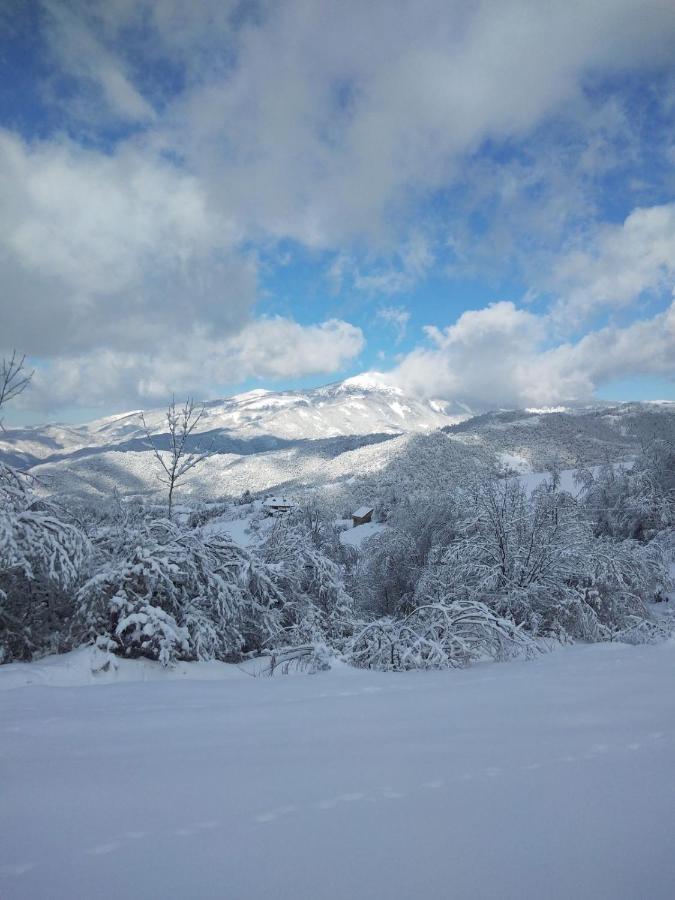 Kuca Za Odmor ,,Balkan” Crni Vrh Exterior foto
